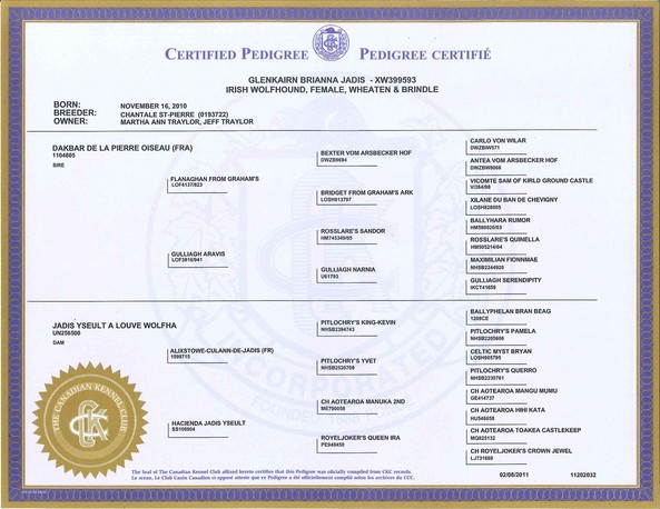 Brianna's Pedigree