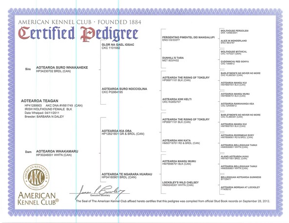 Tegan's Pedigree