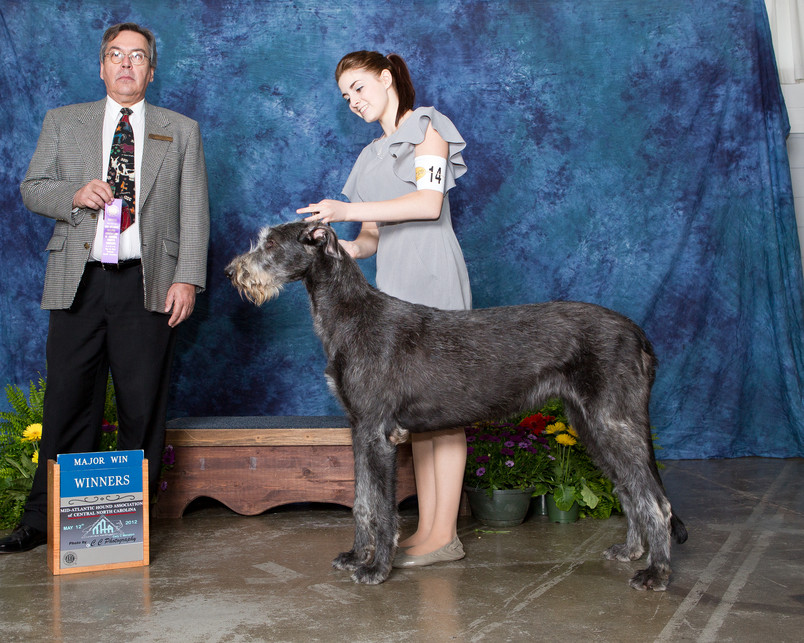 Kerry - Winner's Bitch-Mid-Alantic Hound Speciality 2012